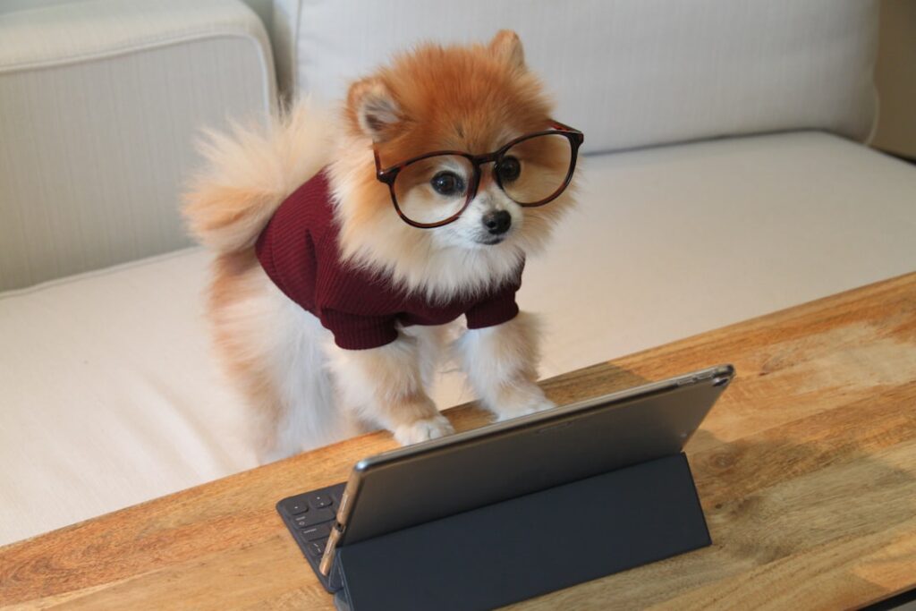 Photo AI Writing Assistant